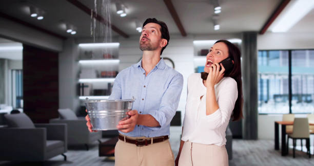 Best Water damage restoration experts  in Carson City, NV
