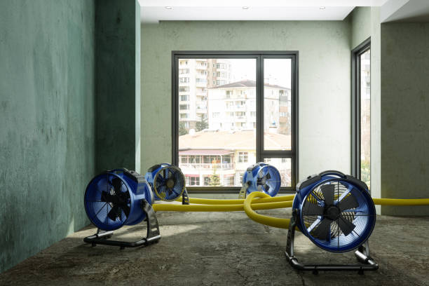 Best 24/7 water damage repair  in Carson City, NV